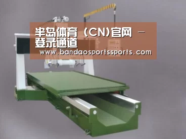 产品名称十