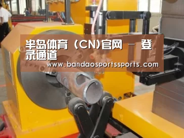 产品名称十三