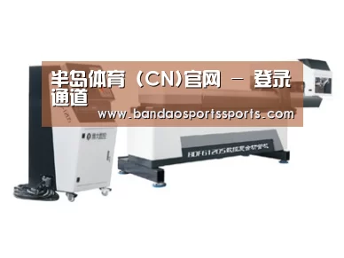 案例展示四