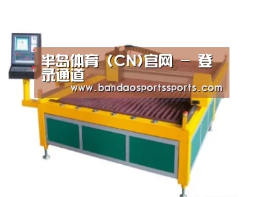 产品名称十九