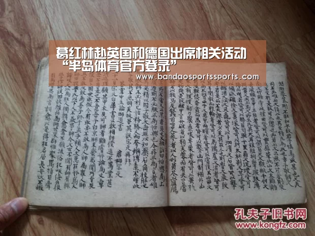 半岛体育官方登录