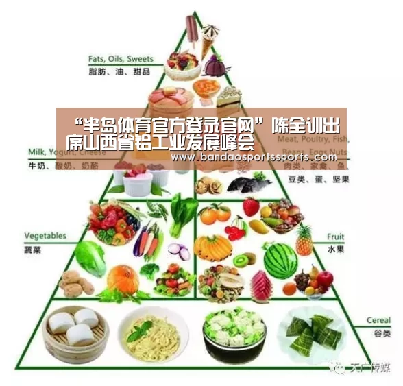 “半岛体育官方登录官网”陈全训出席山西省铝工业发展峰会(图2) “半岛体育官方登录官网”陈全训出席山西省铝工业发展峰会(图2)