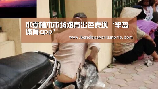半岛体育官方登录官网