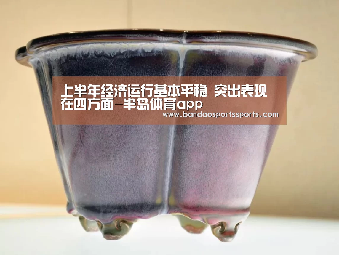 半岛体育app