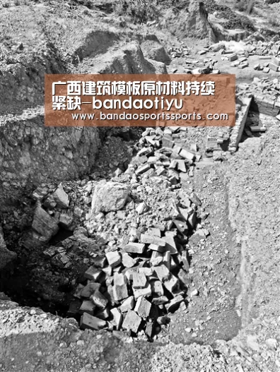 广西建筑模板原材料持续紧缺-bandaotiyu(图4) 广西建筑模板原材料持续紧缺-bandaotiyu(图4)