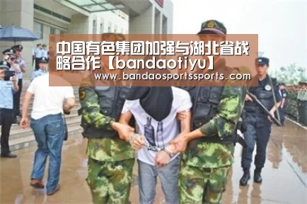 半岛体育官方登录官网